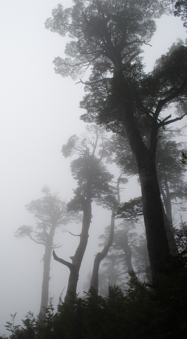 Naturgewalten am Ende der Welt