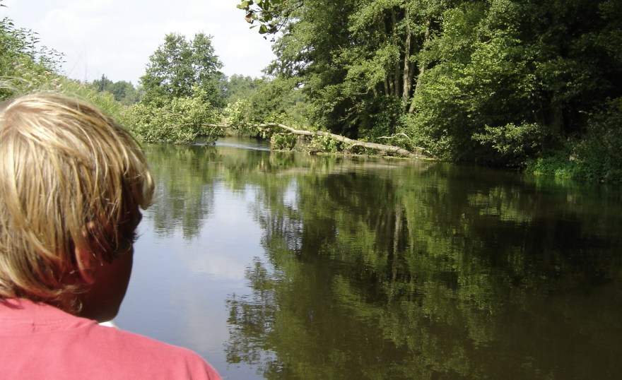 Naturgewalten auch auf dem Flußlauf der Ilmenau