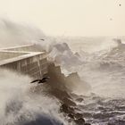 Naturgewalten auf Helgoland