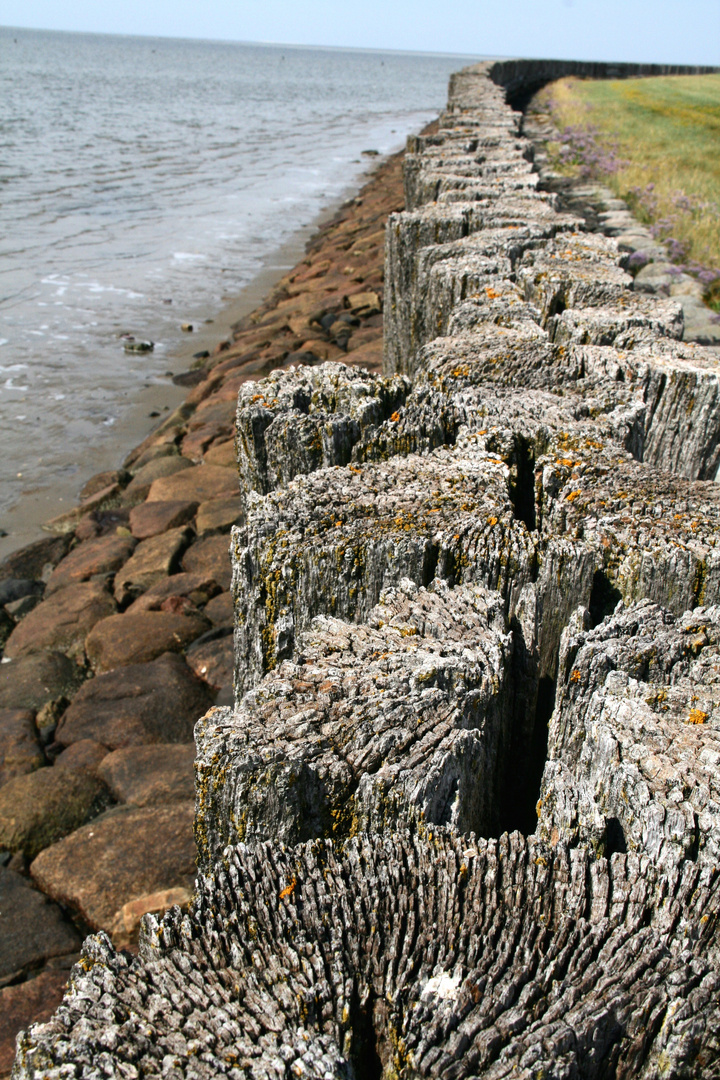 Naturgewalten