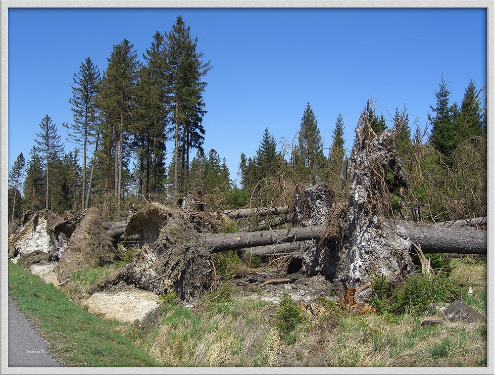 Naturgewalten