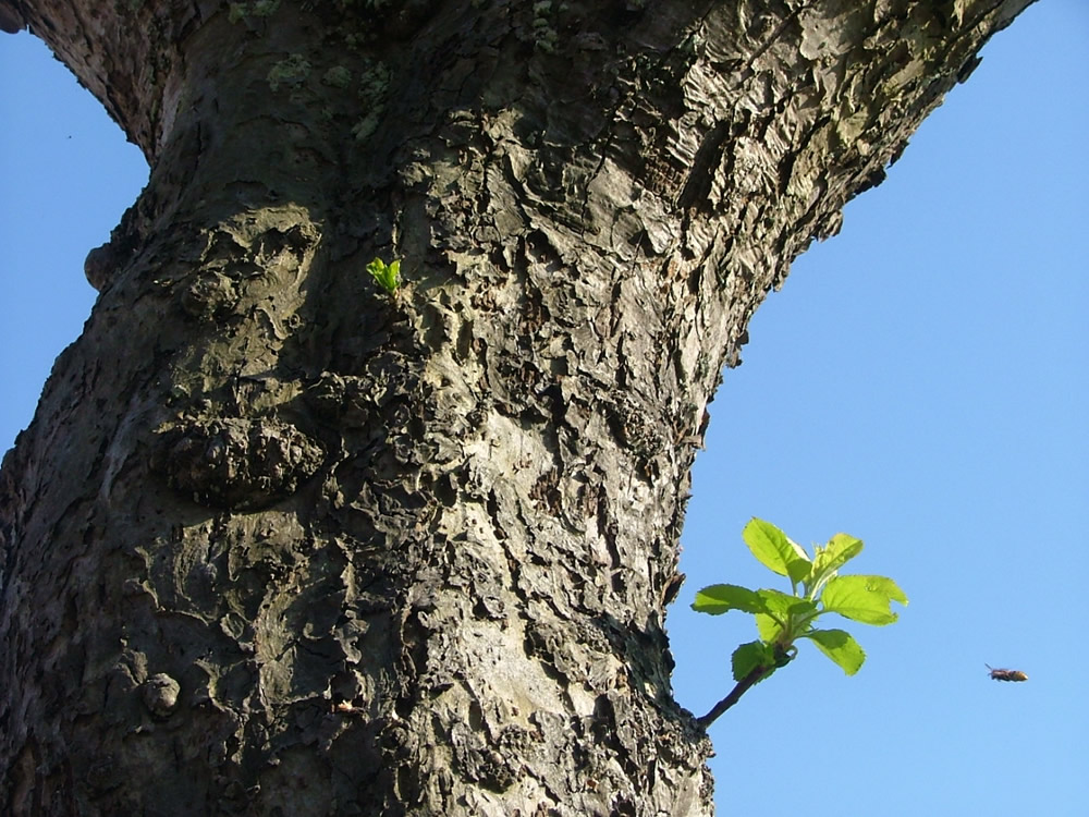 Naturgewalten und Ihre Anziehung