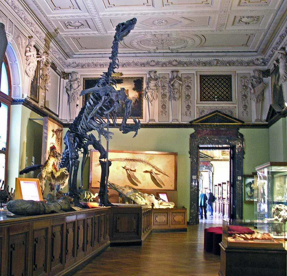 Naturhistorisches Museum in Wien - Prähistorische Abteilung