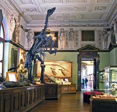 Naturhistorisches Museum in Wien - Prähistorische Abteilung