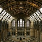 Naturhistorisches Museum London