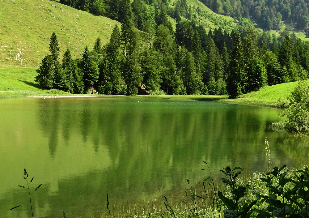 Naturidylle Lecknersee