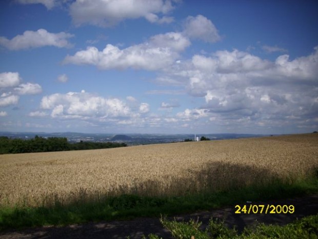 Naturimpression im Saarland