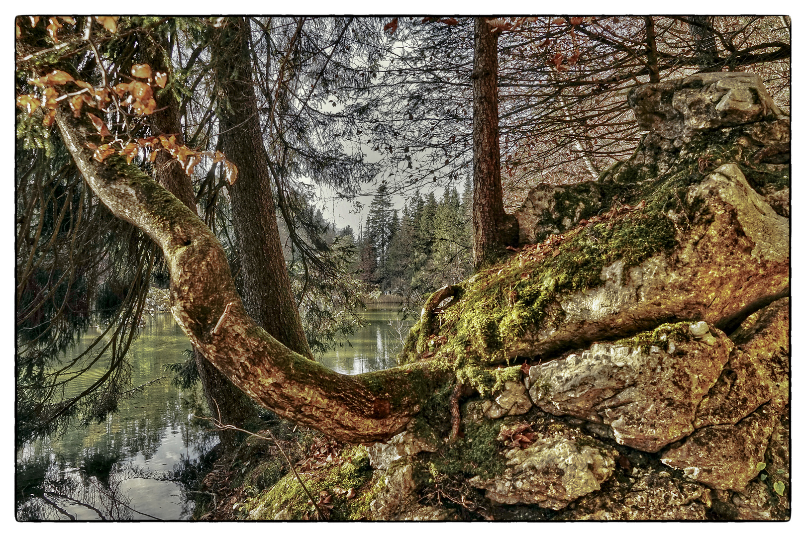 Naturimpression vom Berglsteiner See