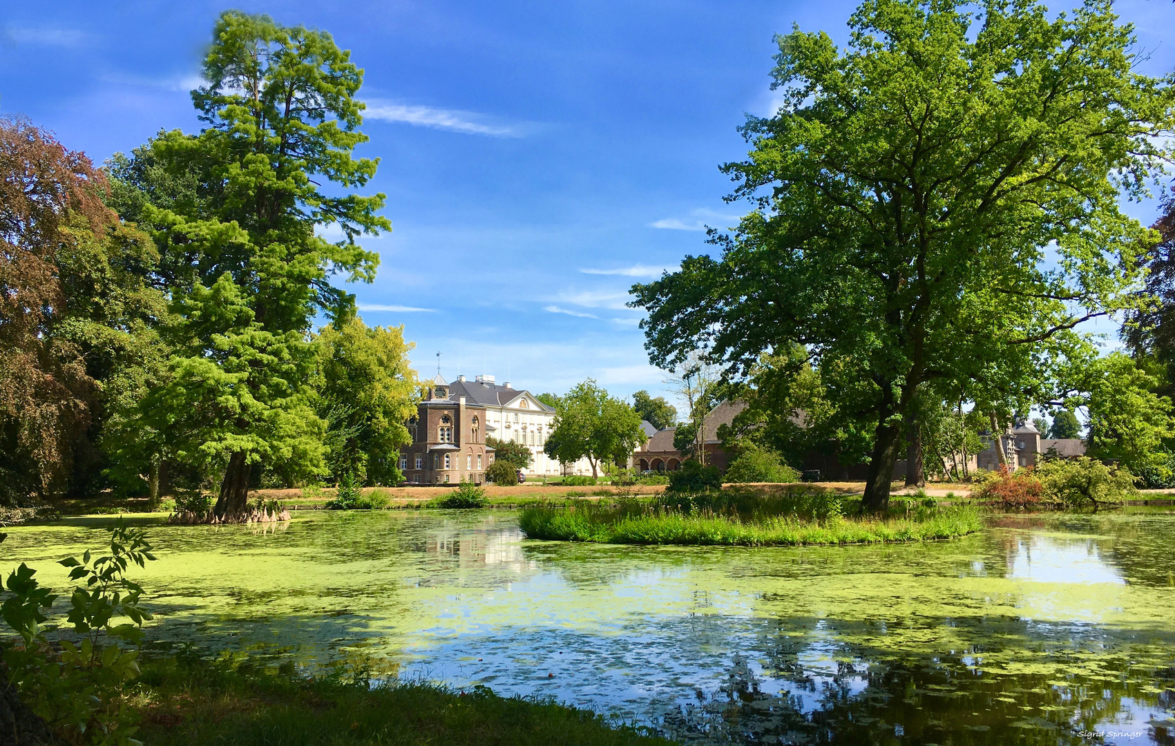 Naturimpressionen im Schlossgarten Heltorf