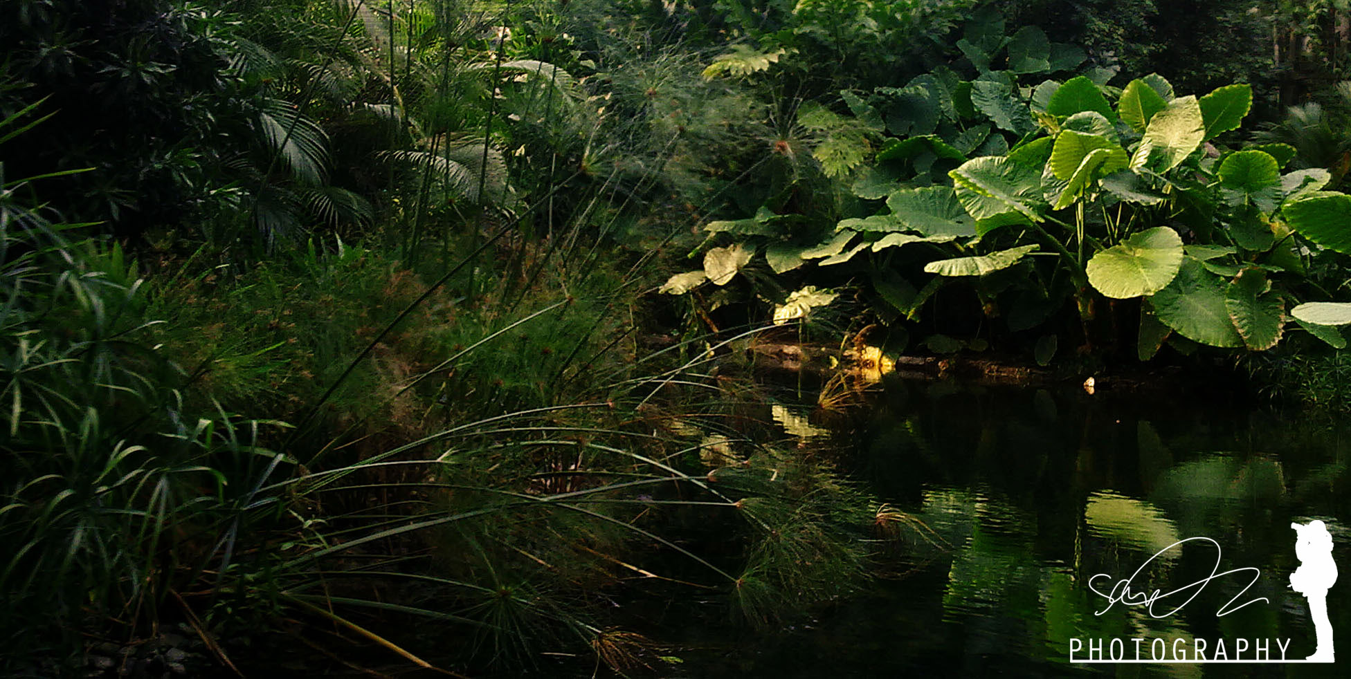 Naturjungle im Großstadtjungle