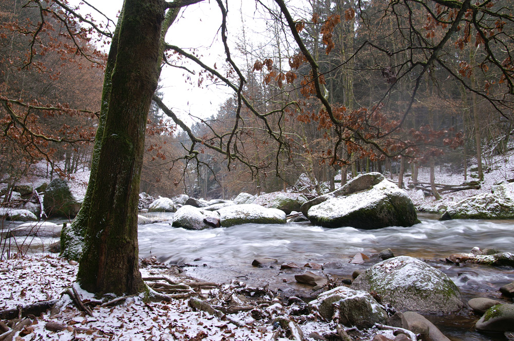 Naturjuwel Feldaist. Der erste Schnee 1