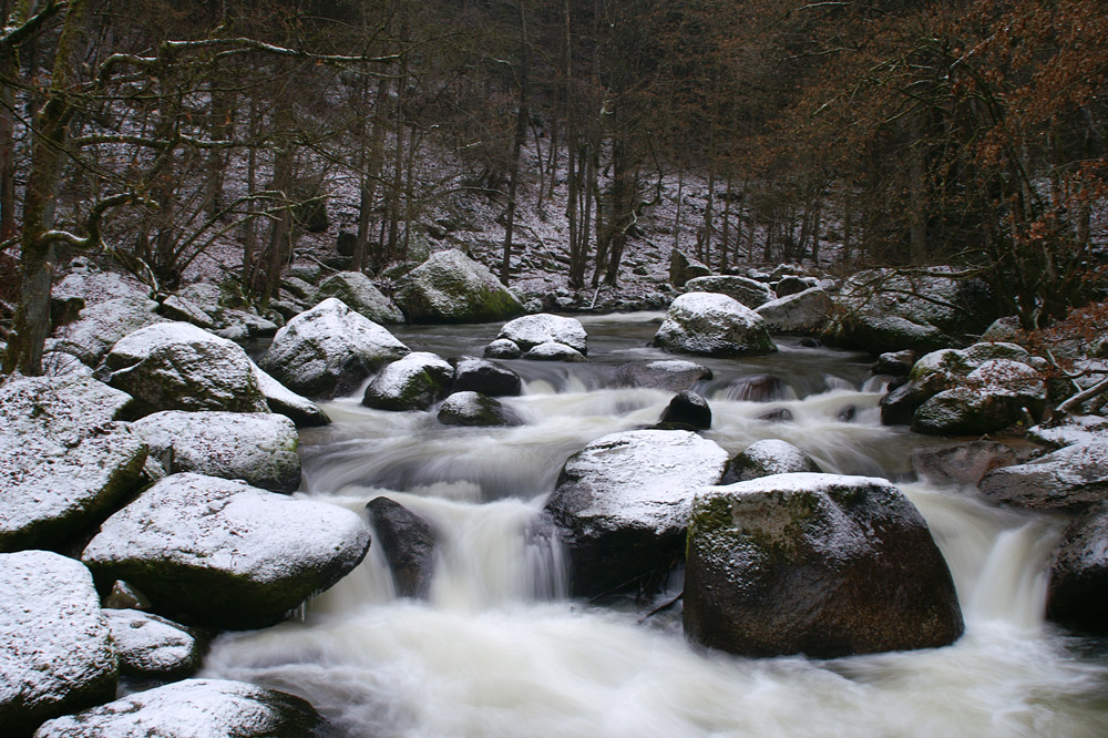 Naturjuwel Feldaist. Der erste Schnee 2