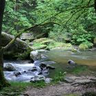 Naturjuwel Feldaist Frühling 2