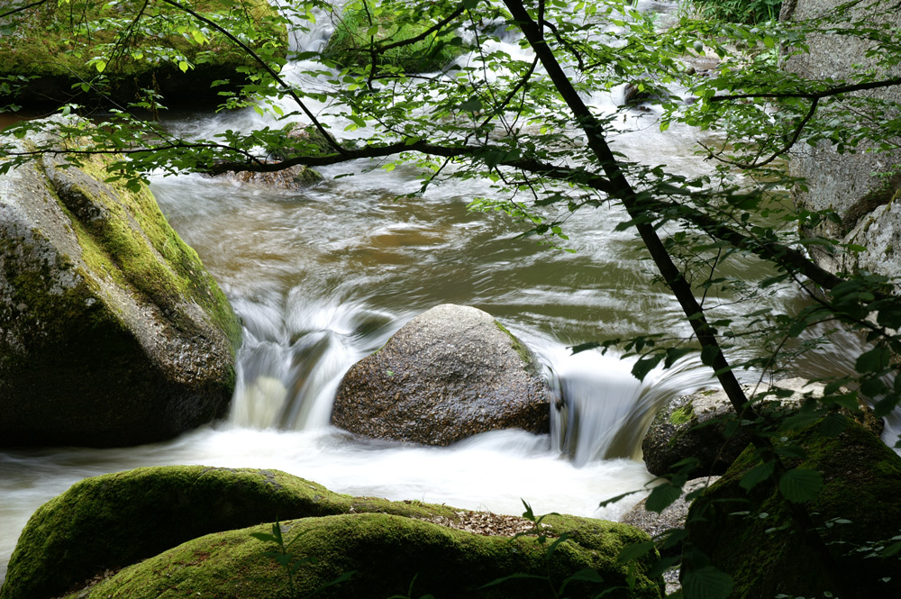 Naturjuwel Feldaist Frühling 5