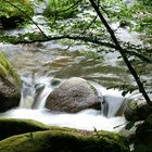 Naturjuwel Feldaist Frühling 5