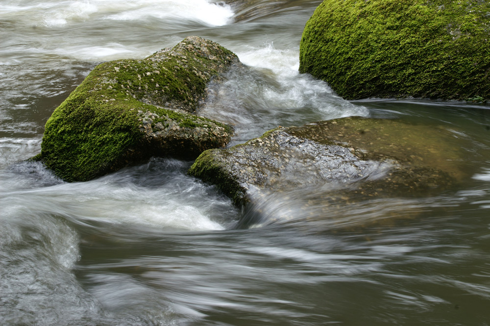 Naturjuwel Feldaist Herbst 6