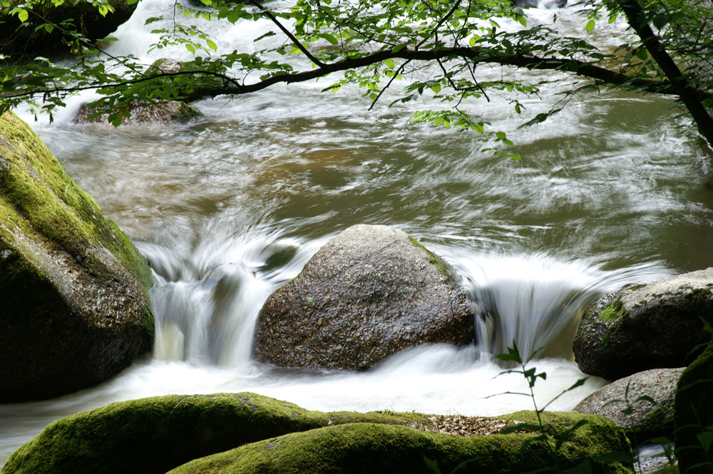 Naturjuwel Feldaist Herbst 9