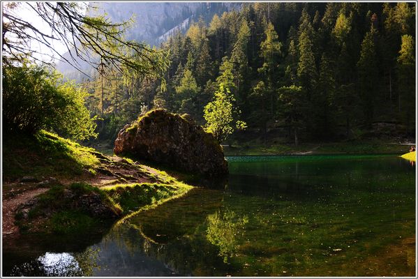 Naturjuwel Grüner See