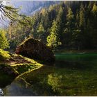 Naturjuwel Grüner See