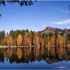 Naturjuwel Schwarzsee