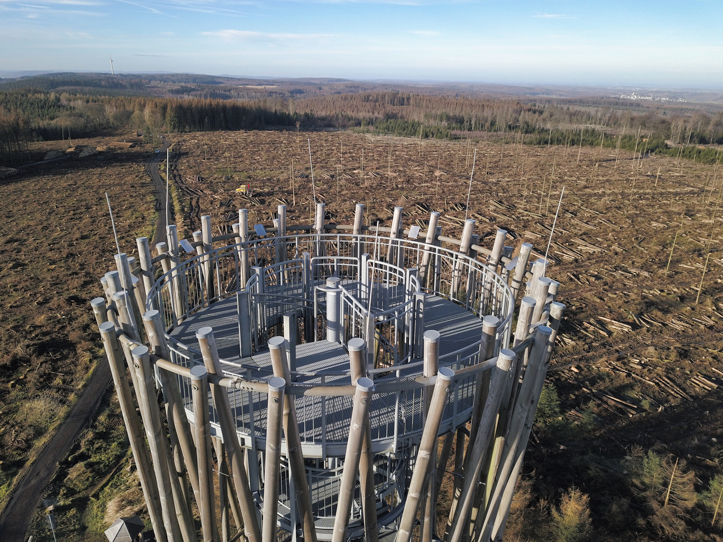 Naturkatastrophen – Borkenkäferbefall