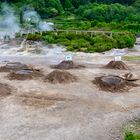 Naturkochtöpfe mit Tel.-Nr.