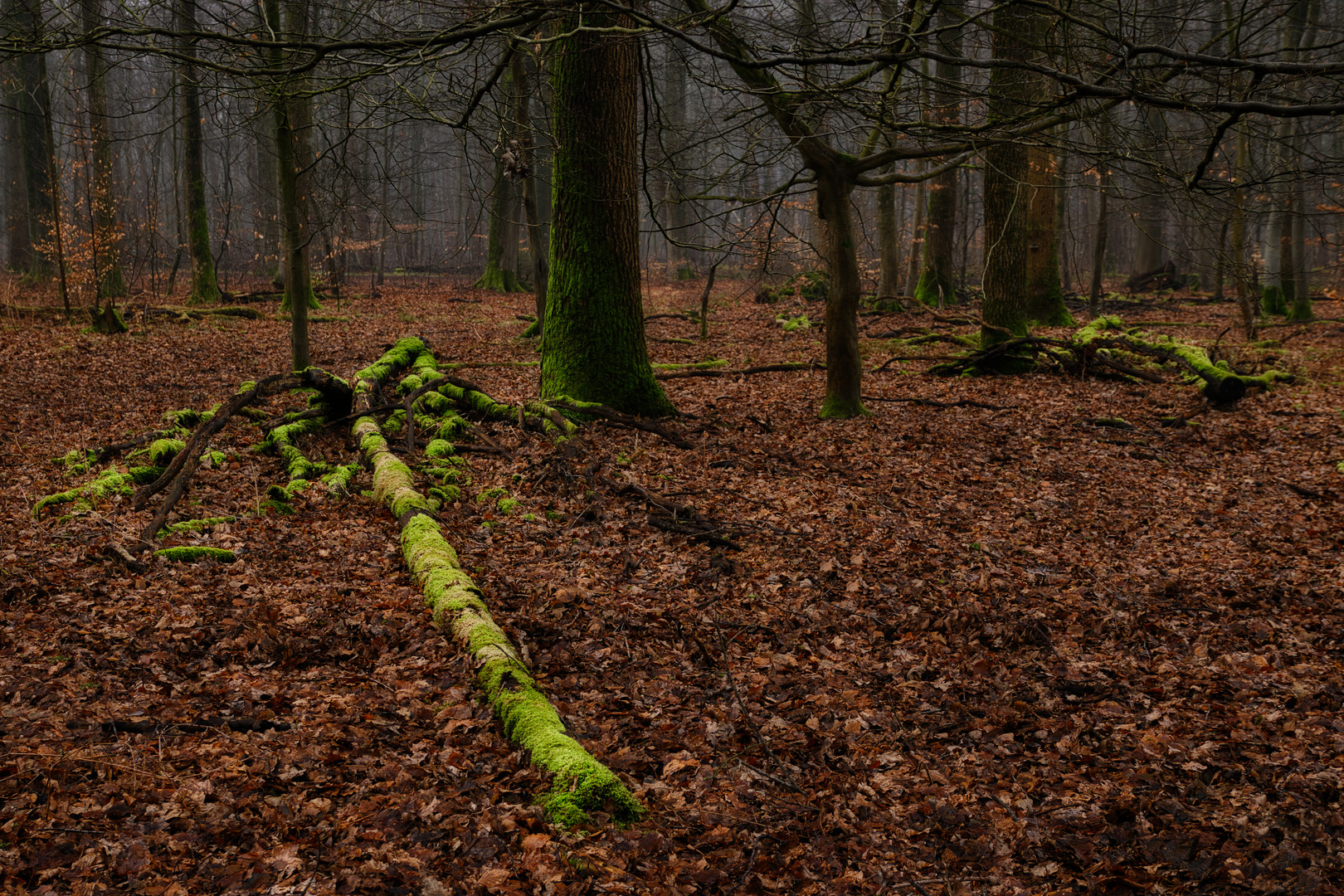 Naturkreislauf