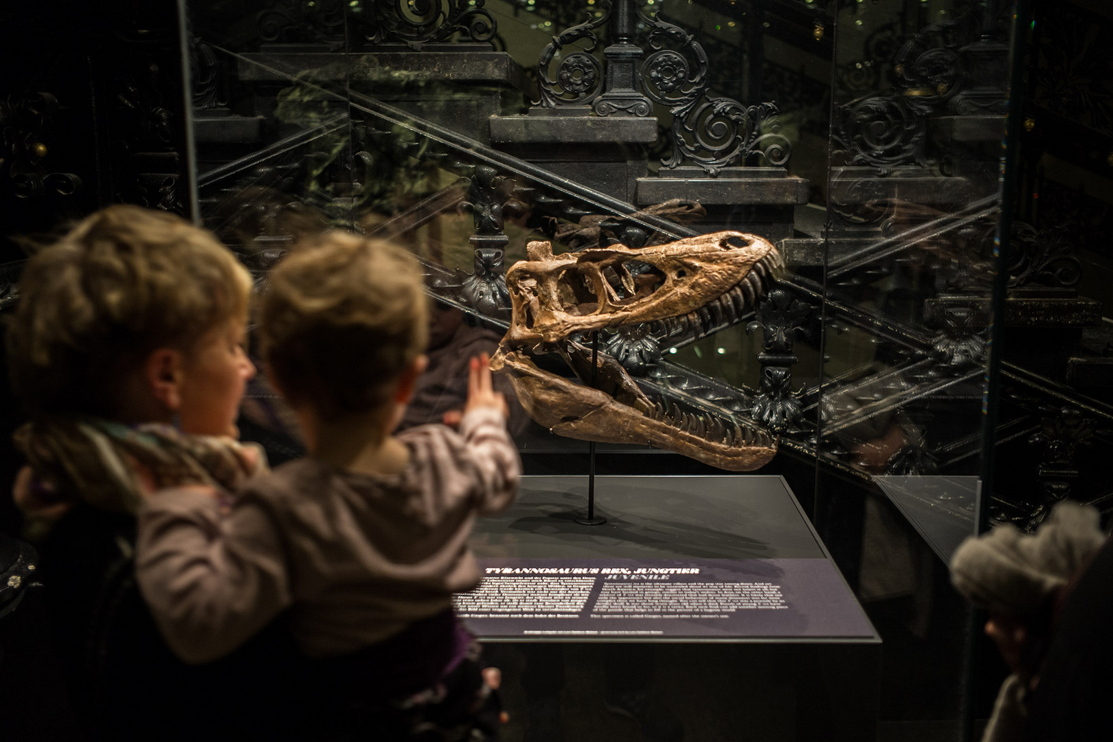 Naturkundemuseum Berlin