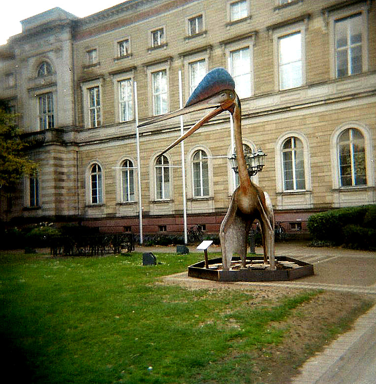 Naturkundemuseum Karlsruhe 