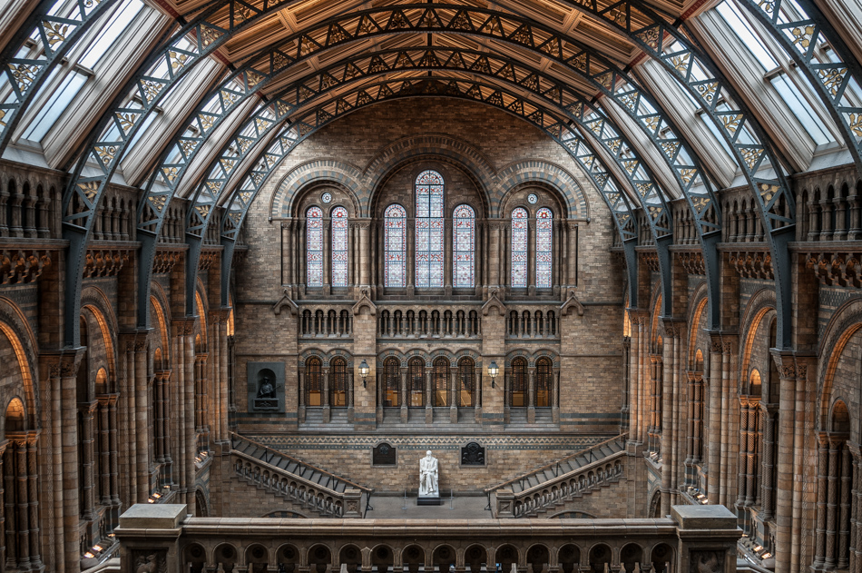 Naturkundemuseum London, Treppenaufgang