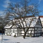 Naturkundliche Heimatstube in Falkenberg/Elster