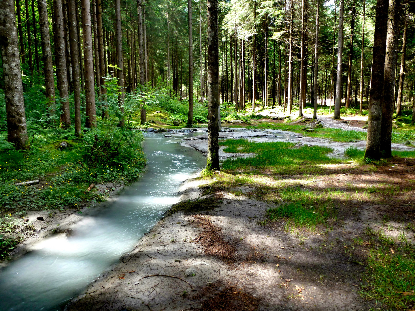 Naturkundlicher Lehrpfad