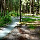 Naturkundlicher Lehrpfad