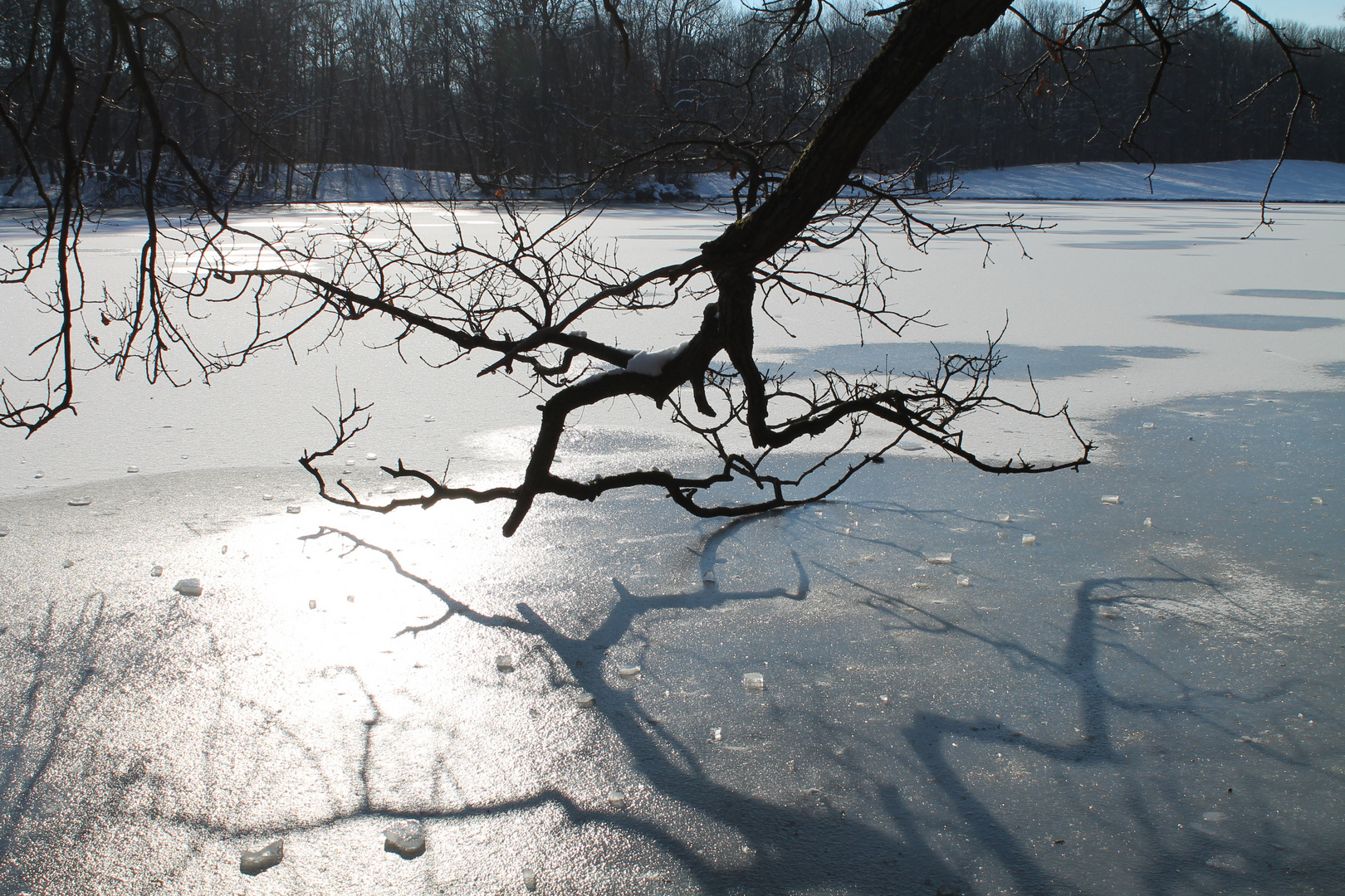 Naturkunst