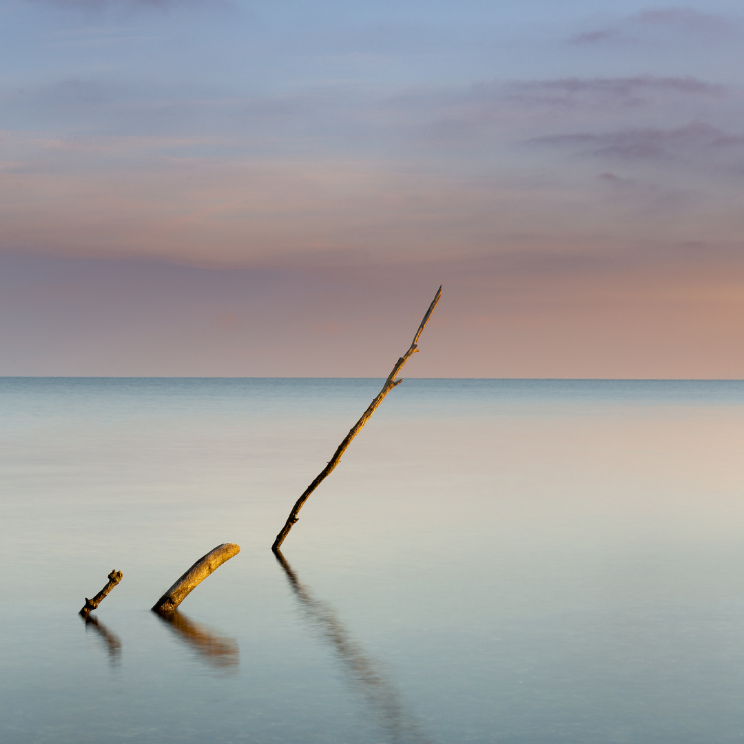 Naturkunst am See