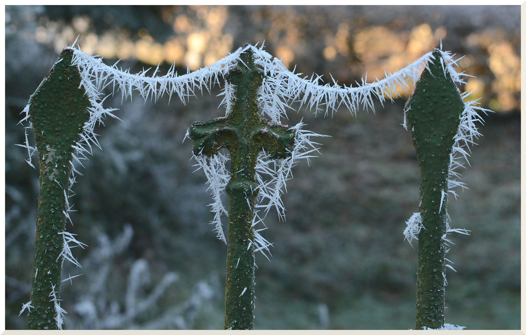 Naturkunst