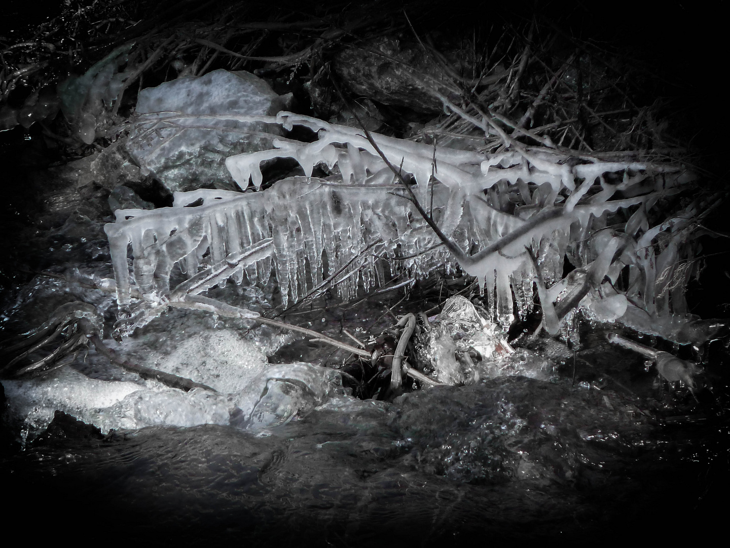 Naturkunst - Eiszapfen