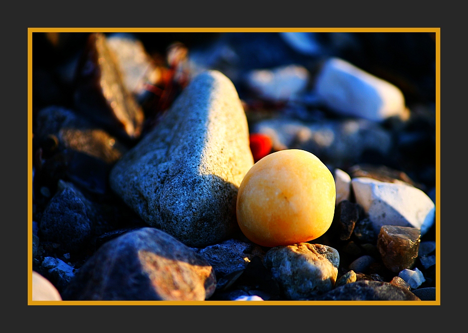 Naturkunst - Ostsee