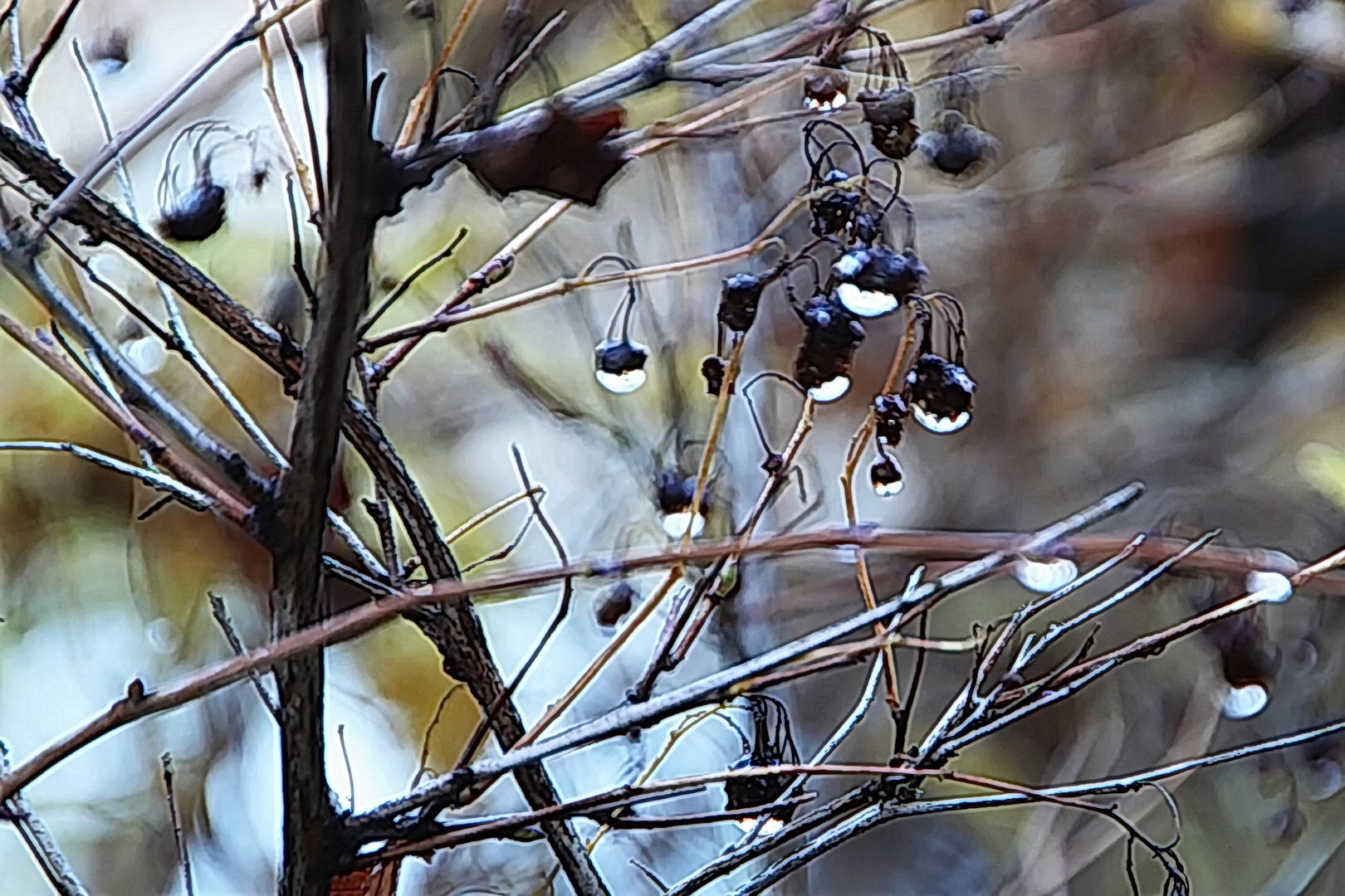 Naturlampen im Baum