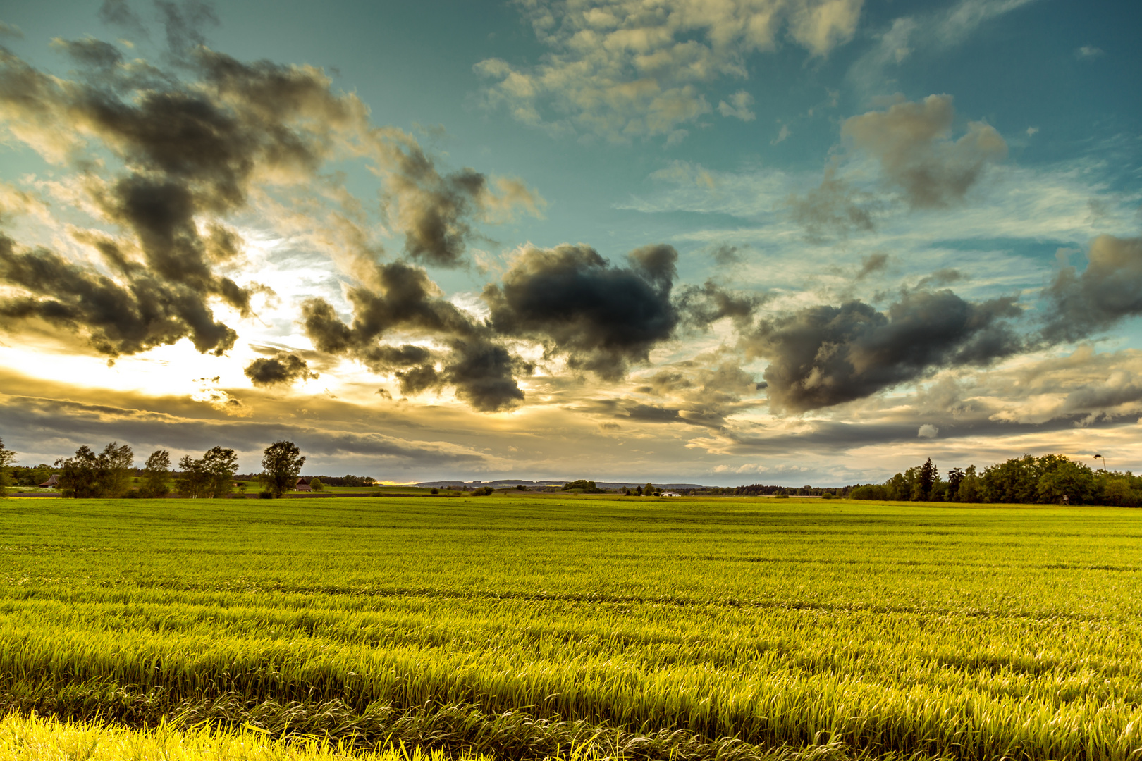 Naturlandschaft