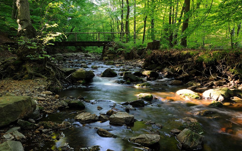 Naturlandschaft Foto & Bild | landschaft, wald, natur Bilder auf fotocommunity