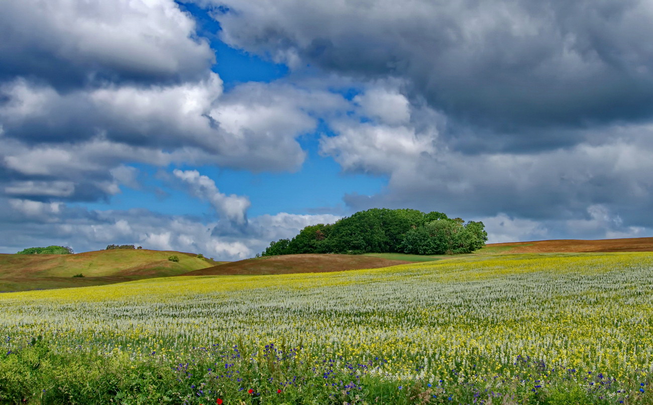 Naturlandschaft