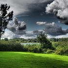 Naturlandschaft am Schloss Gottorf