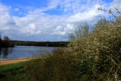 Naturlandschaft an der Mittelweser!