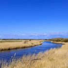 Naturlandschaft beim Rantumbecken