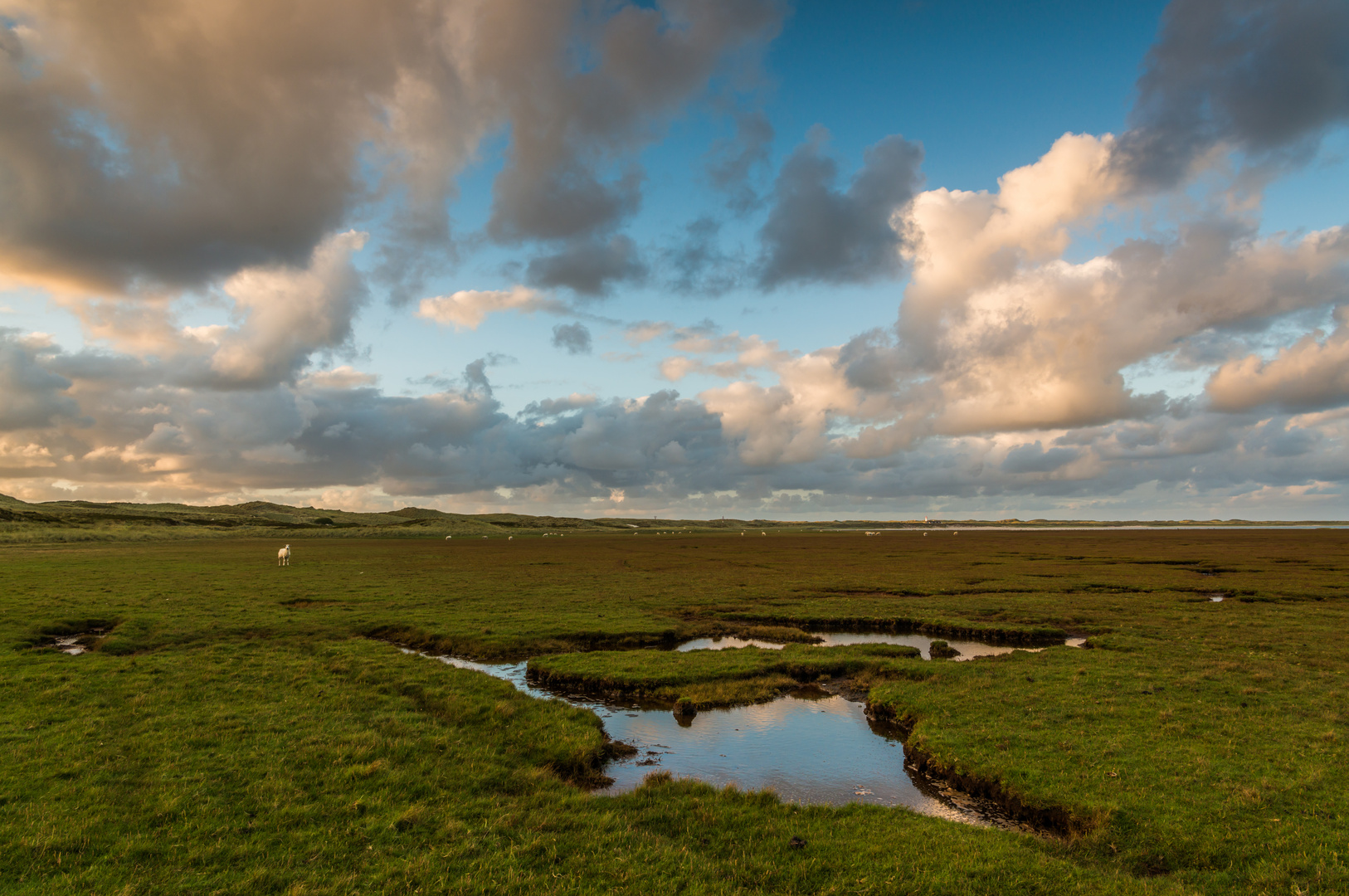 Naturlandschaft des Ellenbogens / Sylt