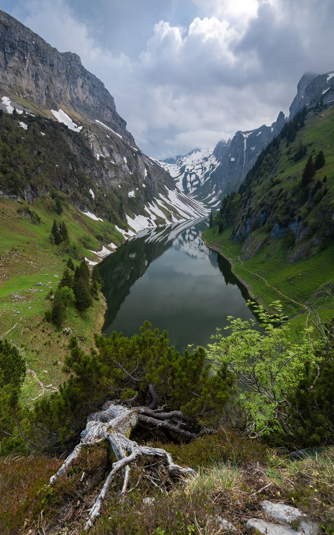 Naturlandschaft Fählensee