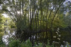 NATURLANDSCHAFT IN BERLIN: AM TEGELER-FLIEß