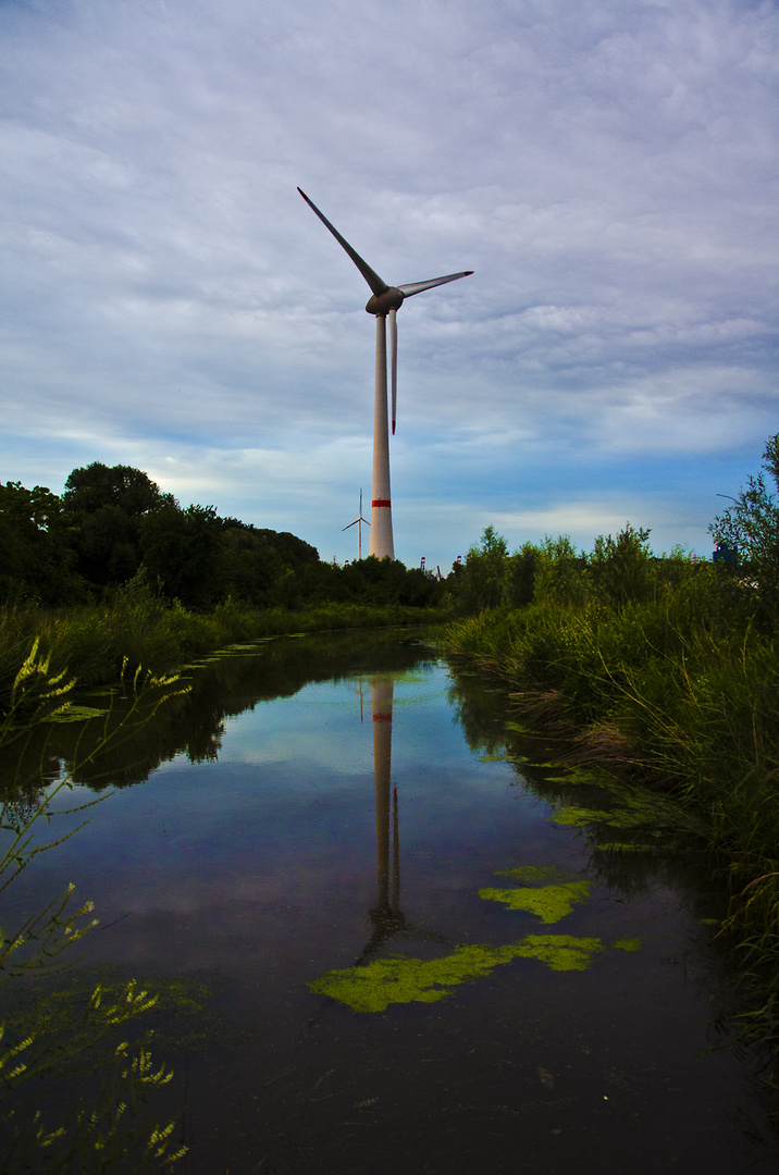 Naturlandschaft in Waltershof