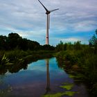 Naturlandschaft in Waltershof